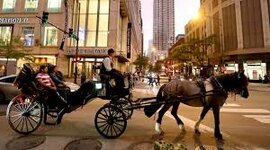 Timeline: Horse and Buggy