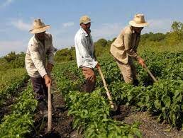 Ley 160 - Reforma agraria