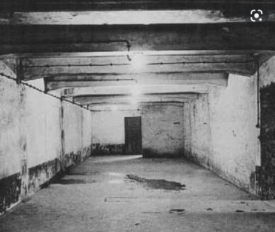 Nazis Establish Gas Chambers