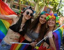 Comunidad LGBTI 2013