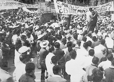 Confederación Nacional Campesina