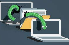 15. When was the first worm created and what was the name?  The Morris Worm was created in November 1988.