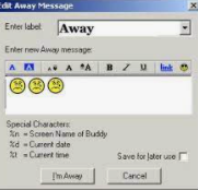 19. When does AOL launch instant messenger? In May of 1997