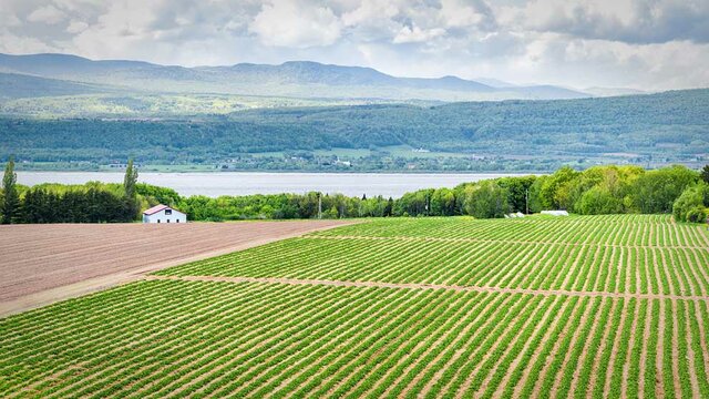l'homme crée l'agriculture