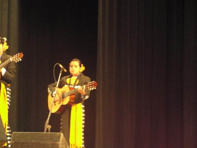 Learned To Play Guitar