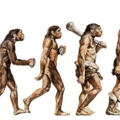 Timeline: EVOLUCIÓN HUMANA