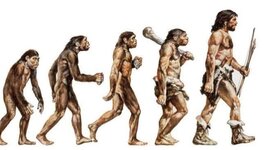 Timeline: EVOLUCIÓN HUMANA