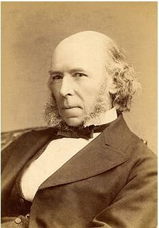 Teoría de la energía superflua (Schiller,Spencer)