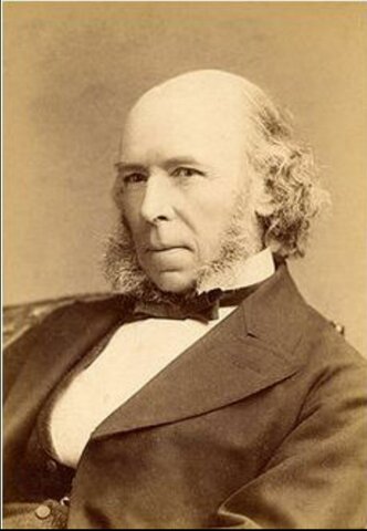 Spencer, Teoría de la energía superflua