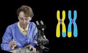 Barbara McClintock