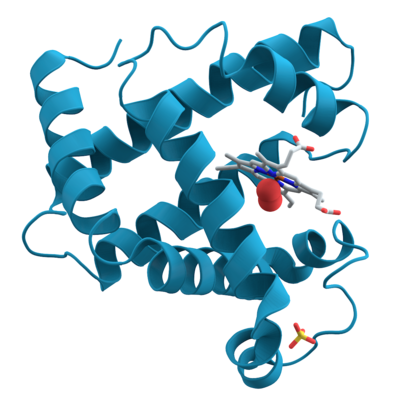 Timeline: La evolución de la bioquímica