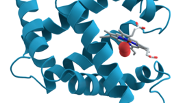 Timeline: La evolución de la bioquímica