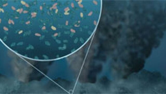 Empieza la vida en los oceános