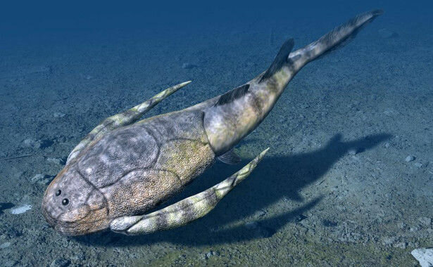 Primeros vertebrados