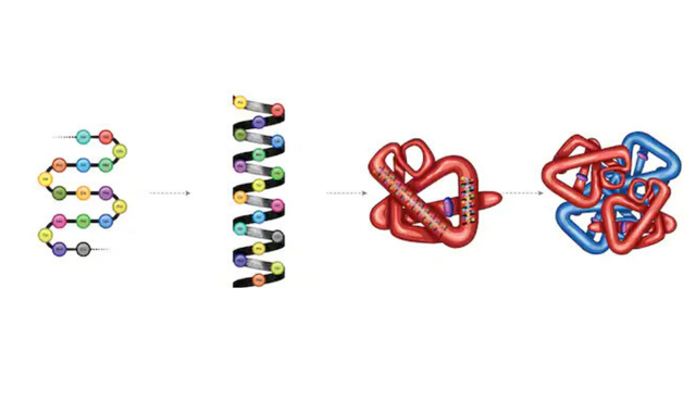 Estructura de las biomoléculas
