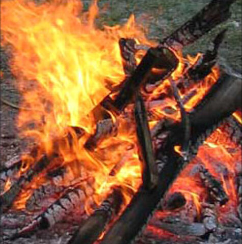 Domestication du feu