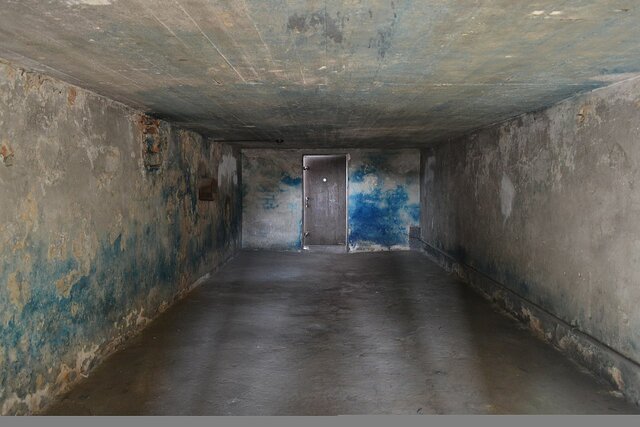 Nazi's Establish Gas Chambers