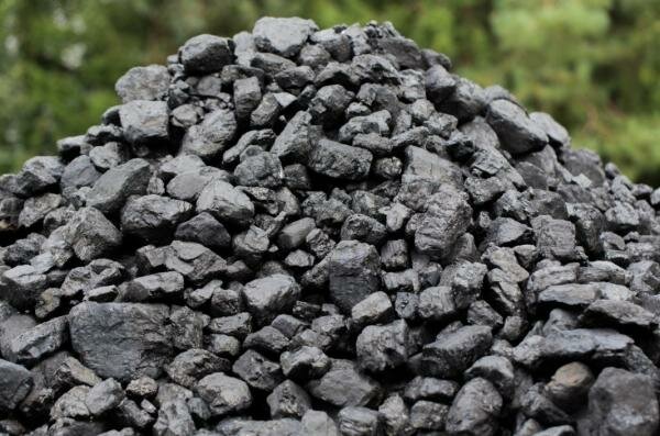 Primeros restos de carbon