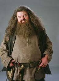 Rubeus Hagrid comienza a estudiar en Hogwarts
