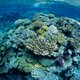 Https   cdn.cnn.com cnnnext dam assets 211104211620 great barrier reef file