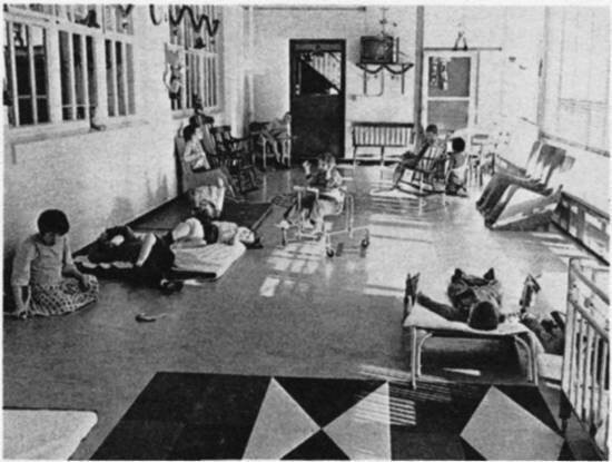 1966- Living conditions of intuitions get exposed