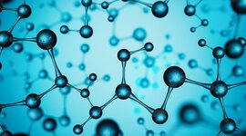 Timeline: Aportaciones a la Biología