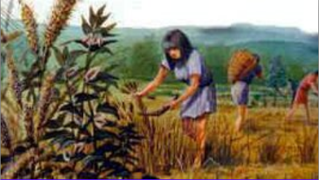 Invention de l'agriculture