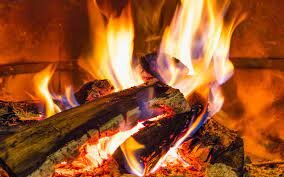 domestication du feu