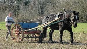 invention de l'agriculture et de l'élevage