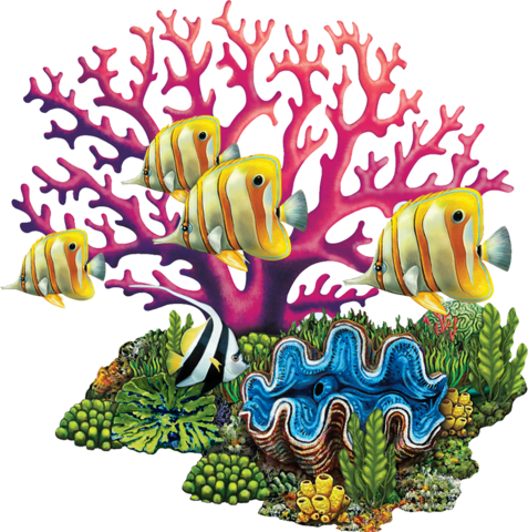 Modern Day Great Barrier Reef is Born