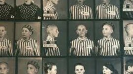 Timeline: Holocaust by Sara Wilson