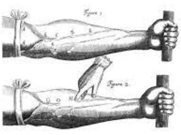 1628: William Harvey