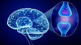 Timeline: Antecedentes de la fisioterapia neurológica