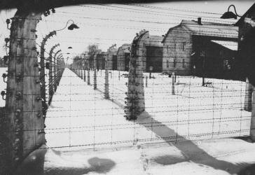 Death March from Auschwitz