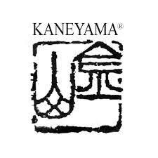 Sun-Hee's family change their family name to Kaneyama