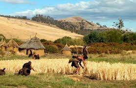 Fi a la tolerància amb Cisneros, obligació a batejar a tothom.
