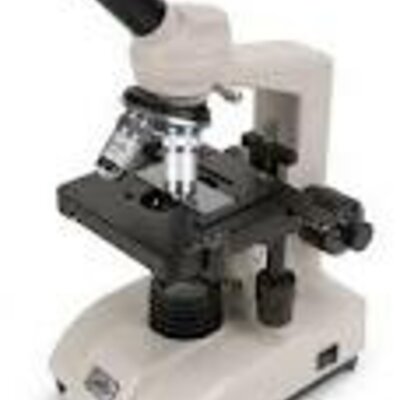 Timeline: Generazione spontanea