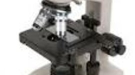 Timeline: Generazione spontanea