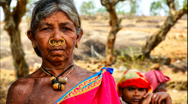 Timeline: FOREST LAWS THAT IMPACTED THE LIVES OF TRIBALS IN INDIA