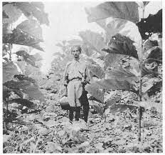 The Indian Forest Act,1878