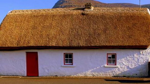 Thatched Roof