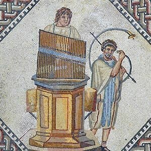 Изобретен предок современного органа