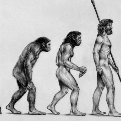 Timeline: Origen y evolución de la vida