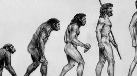 Timeline: Origen y evolución de la vida