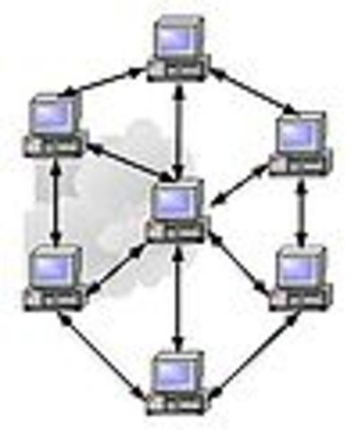 Fin del curso de programación