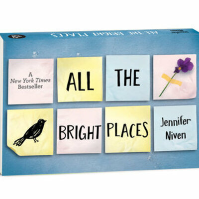 Timeline: All The Bright Places