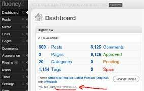 WP: la versión de WordPress 2.8 Baker