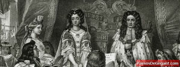 Declaració de drets britànica