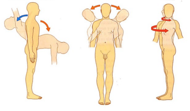 Tercera etapa: centrada en la disfunción articular