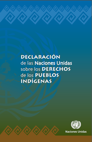 RESOLUCIÓN  61/295. DECLARACIÓN DE LAS NACIONES UNIDAS SOBRE LOS DERECHOS DE LOS PUEBLOS INDÍGENAS